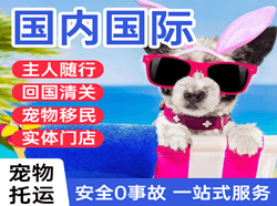 烟台机场托运国际宠物托运 【国